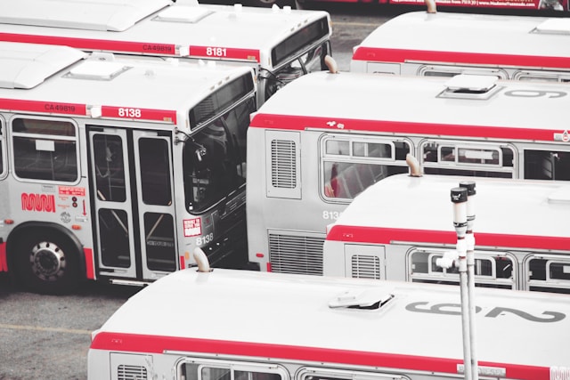 Buses.jpg